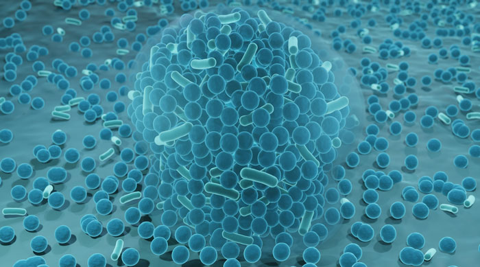 An illustration of a bacterial biofilm