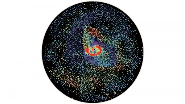 Experimental snapshot of a Quincke roller suspension during a vortex reversal