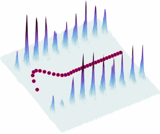 quantum boomerang