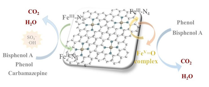 Different reaction pathways for refractory pollutants on iron SACs
