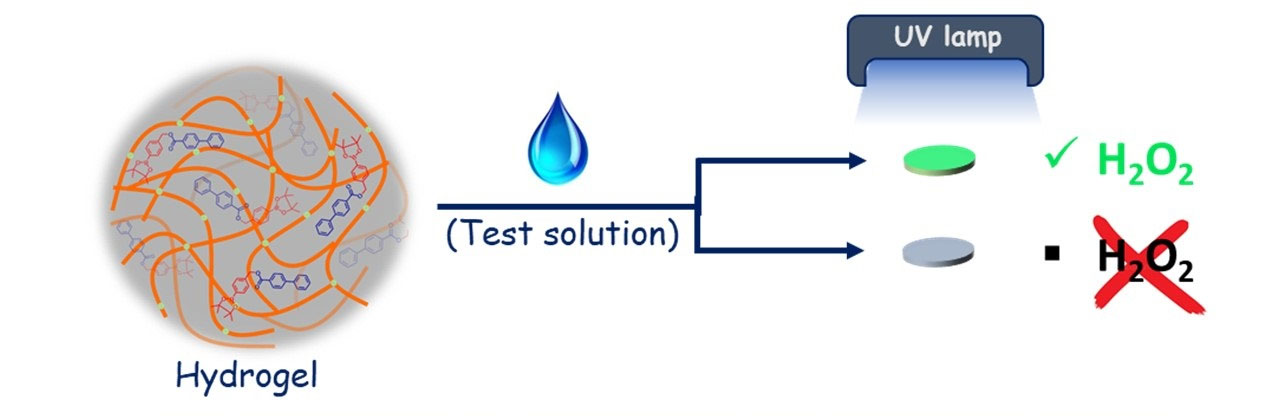 Schematic depicting the process to detect hydrogen peroxide