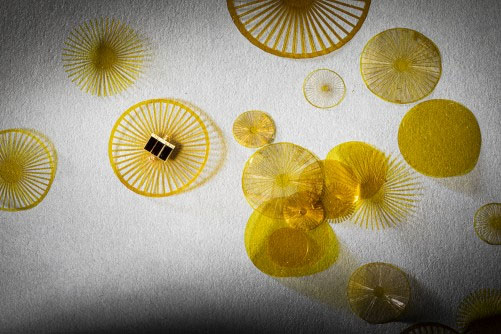battery-free sensor-carrying device that can be blown by the wind