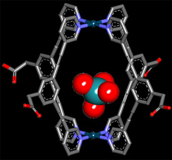 Supramolecular metallocage encapsulating radioactive pertechnetate for (SPECT) imaging