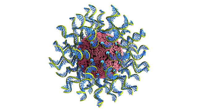 spherical nucleic acid