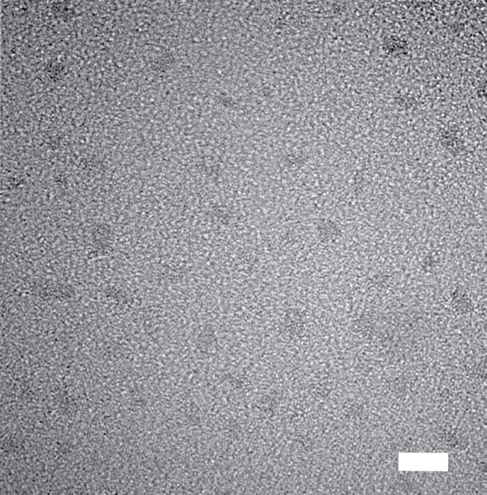 nanodiamonds