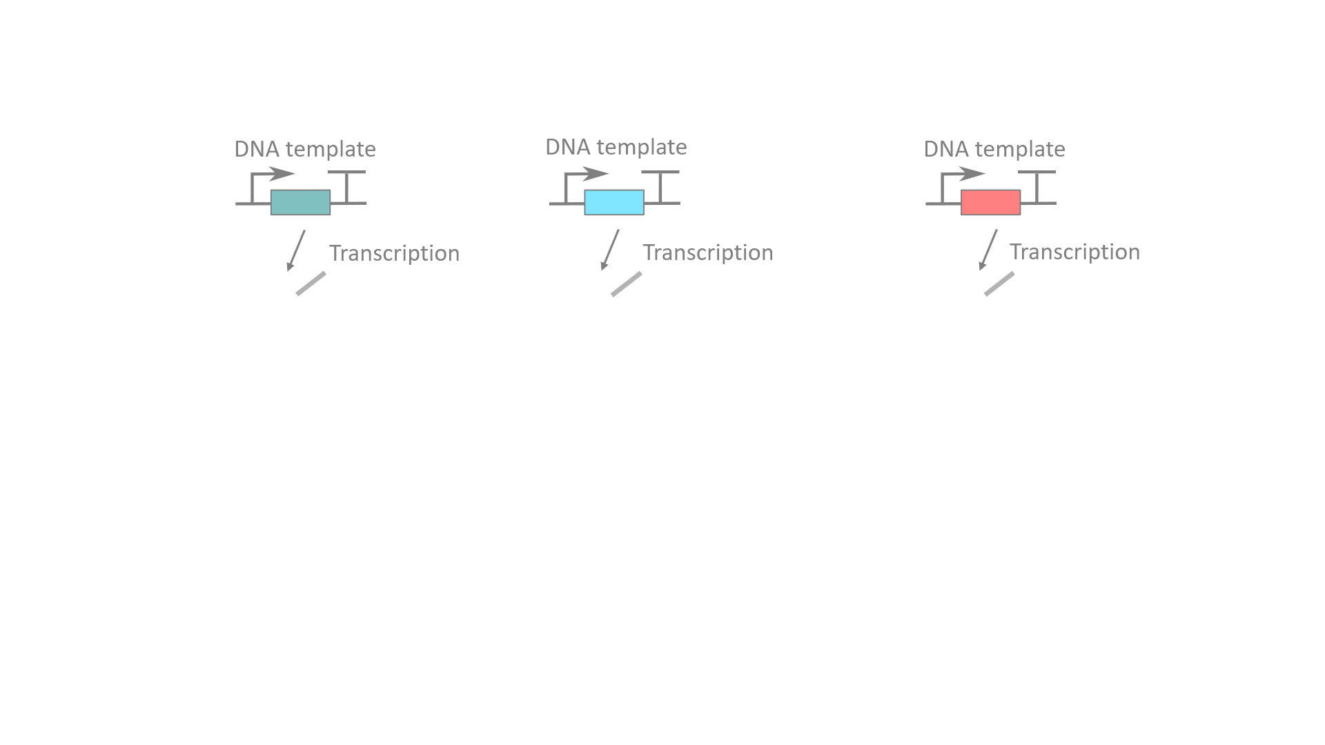 An animated gif shows an RNA input and two RNA circuit gates being produced and interacting