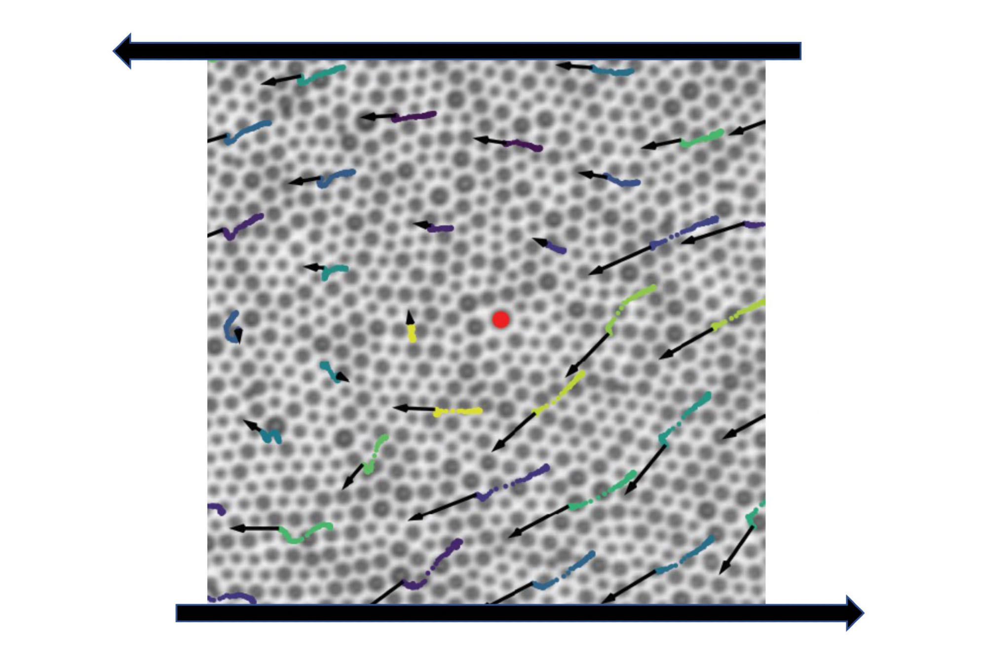 A suspension of particles of different sizes during shearing experiments