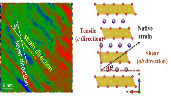 Transition electron microscopic image of newly synthesized cathode material