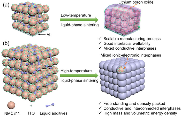 Design of solid-state composite electrodes based on the liquid-phase sintering technique