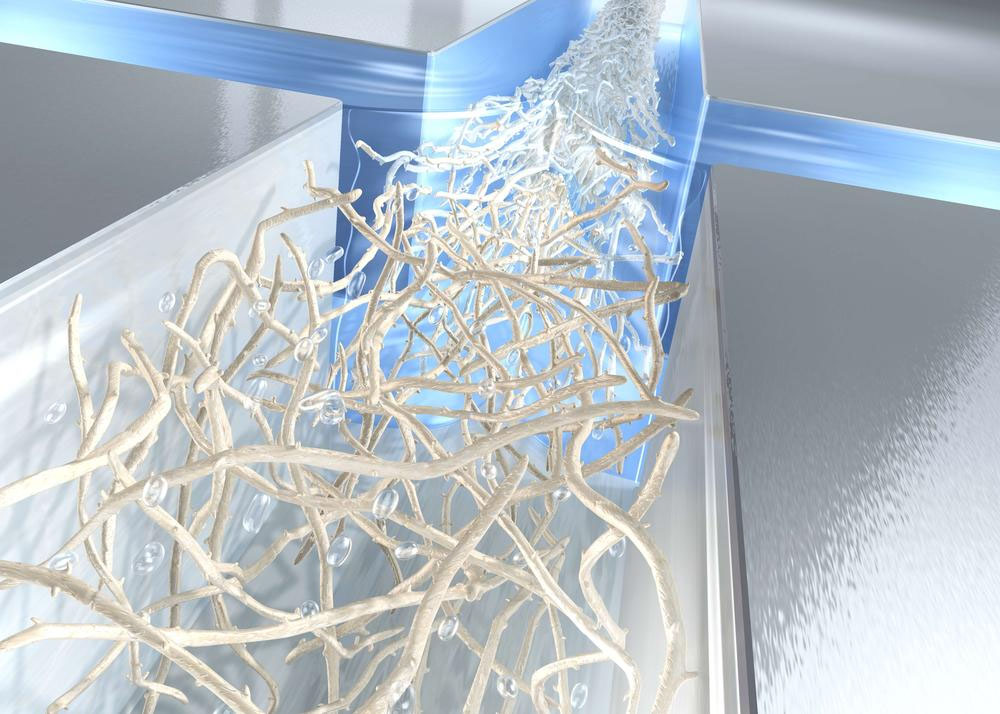 Artist´s impression of fibrils in the flow channel