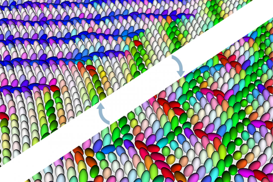 emergent elastic fields in chiral molecular crystals