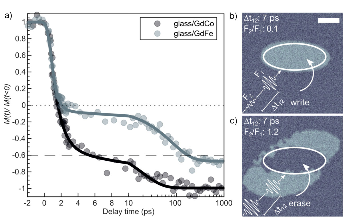 Ultrafast switching dynamics of a GdFe and GdCo alloy