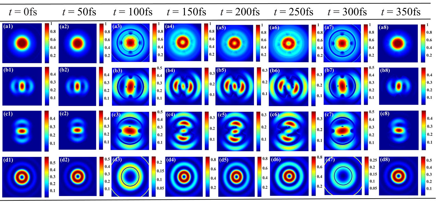 The focused field distributions of radially polarized light with first-order vortex at different temporal intervals