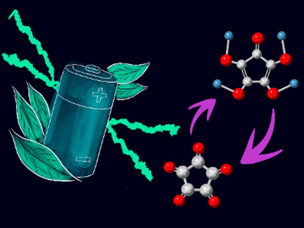 An illustration of croconic acid and an image of a high-voltage environmentally friendly organic lithium-ion batteries
