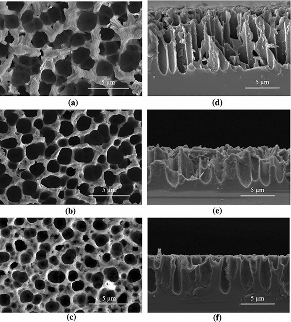 An electron microscope observation of porous silicon samples