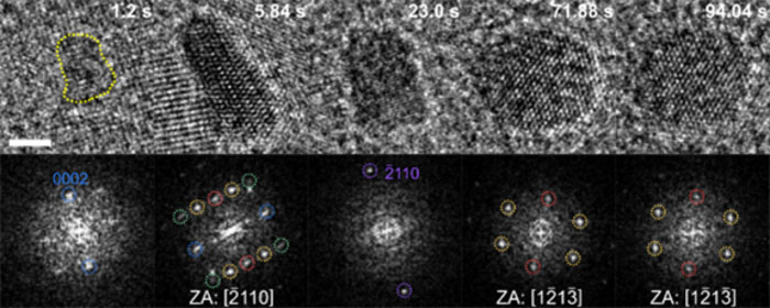 Real-time analysis of the growth process of metastable palladium hydride nanoparticles within a liquid phase by transmission electron microscopy