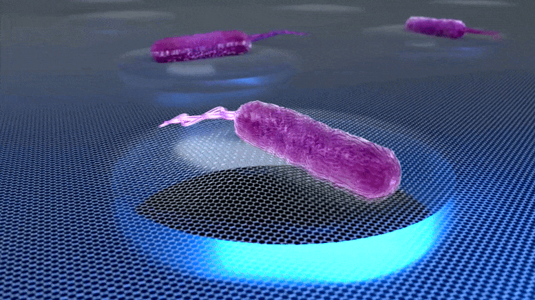Animation showing how a graphene drum can reveal the sound of bacteria