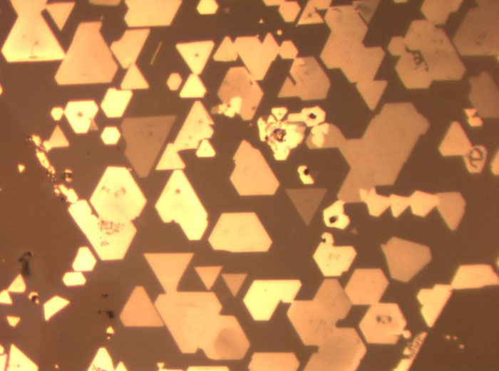 A microscope image shows numerous super-thin chromium telluride crystals grown atop tungsten diselenide