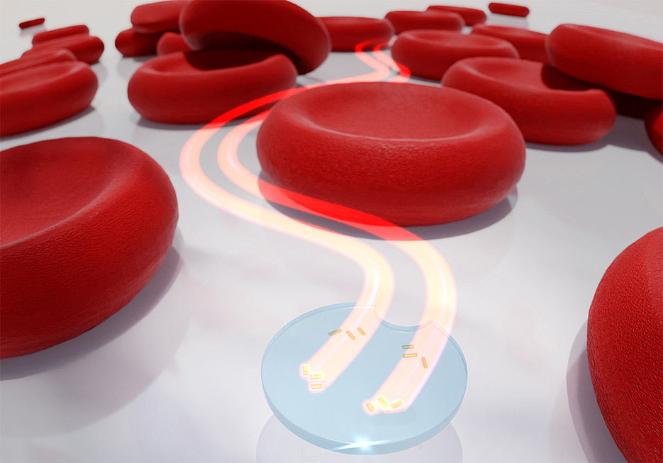 Artistic representation of a microdrone with two active light-driven nanomotors between red blood cells