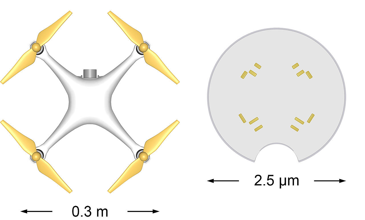 Size comparison between quadrocopter and microdrone