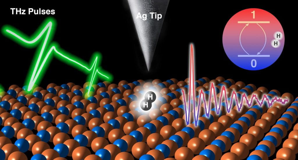 Within the ultrahigh vacuum of a scanning tunneling microscope, a hydrogen molecule is held between the silver tip and pattern