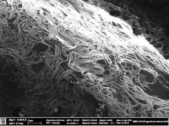 Una maraña de nanotubos de carbono parecida a un espagueti vista en una imagen de microscopio