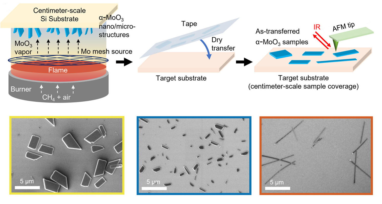 Synthesis of molybdenum oxide micro- and nanostructures using flame vapor deposition