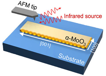 Sacnning synthesized MoO3 nanoribbons  for phonon polariton resonances in both the [001] (lengthwise) and [100] (crosswise) directions