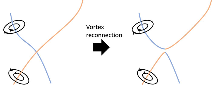 Schematics of quantized vortex reconnection