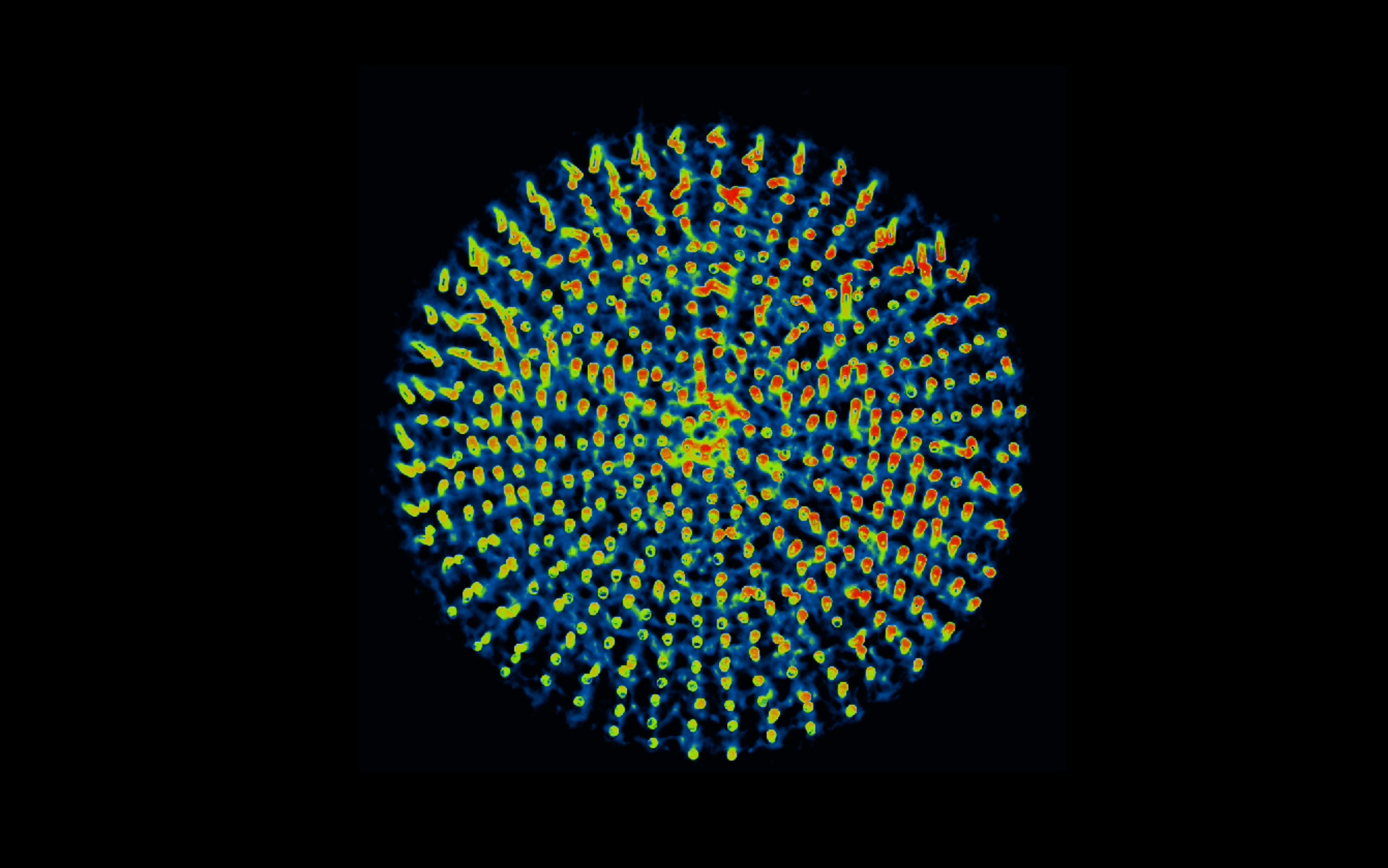 simple microstructures in a radially arranged microarray