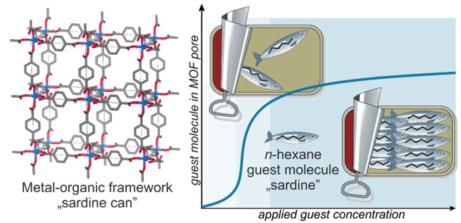metal-organic framework forms a scaffold, with nanometer-sized pores which hold molecules