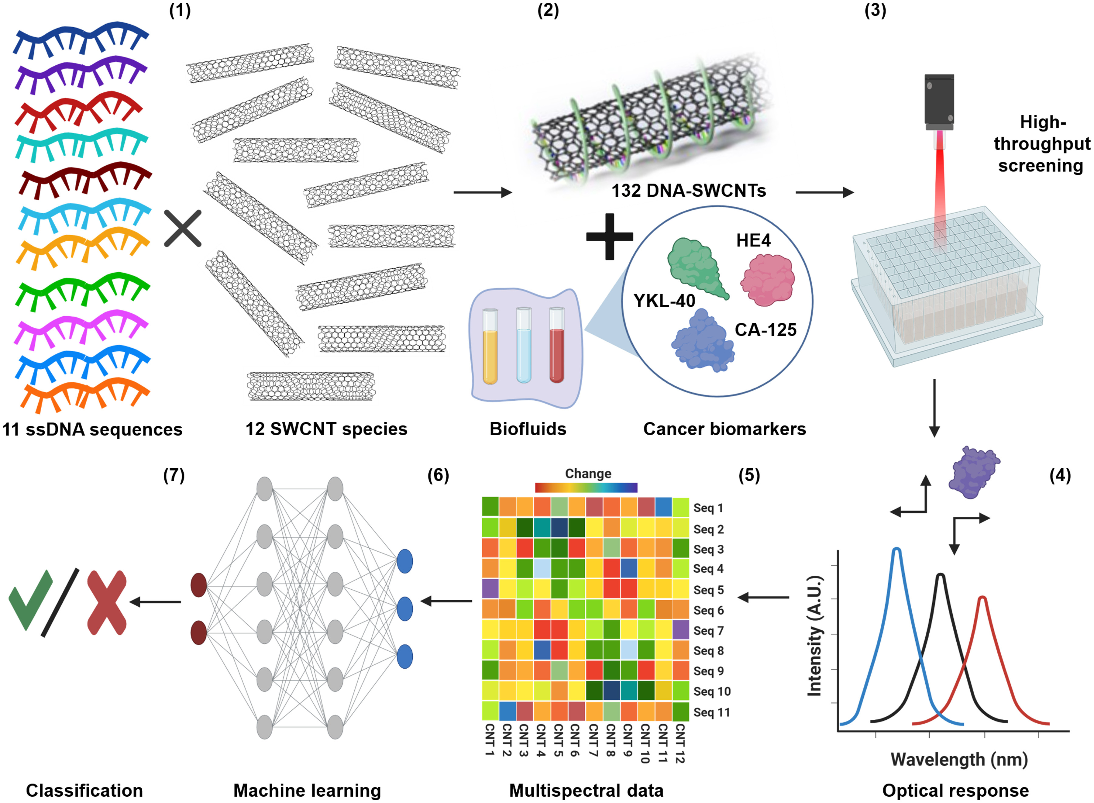 perception-based nanosensor platform for protein biomarkers