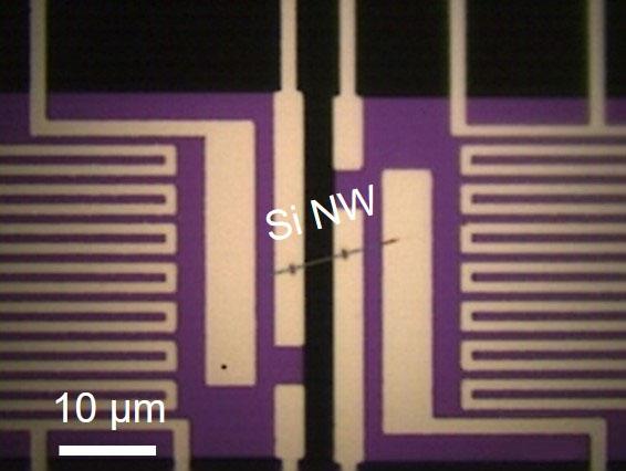 Optical microscopy image of a microdevice consisting of two suspended pads bridged by a silicon nanowire