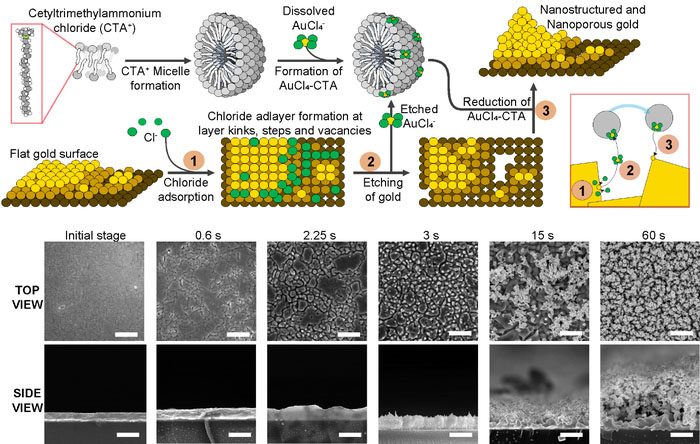 Mechanism to generate nanostructured and nanoporous gold surfaces based on the preferential etch and deposition of the substrate using a surfactant that forms micelles in solution, sodium chloride, and a gold salt