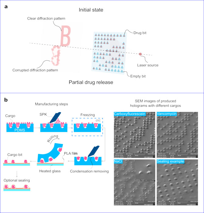 The main principles of binary hologram with drug-elution capabilities