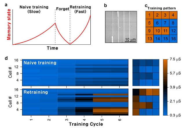 Retraining operation in a neuromorphic device array