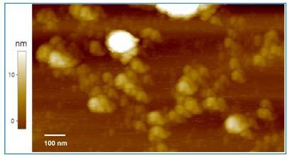 Detalles parcialmente ampliados de imágenes de microscopía de fuerza atómica para mejora no lineal