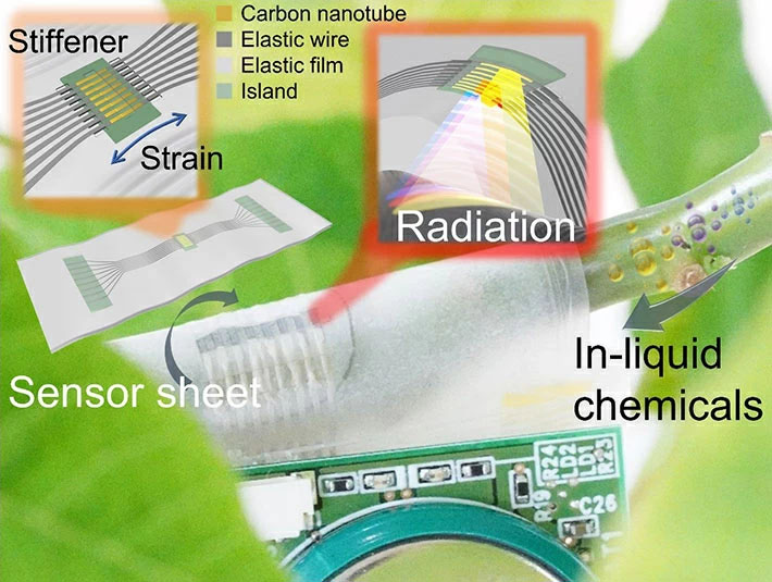carbon nanotube sensor sheet for water quality measurements