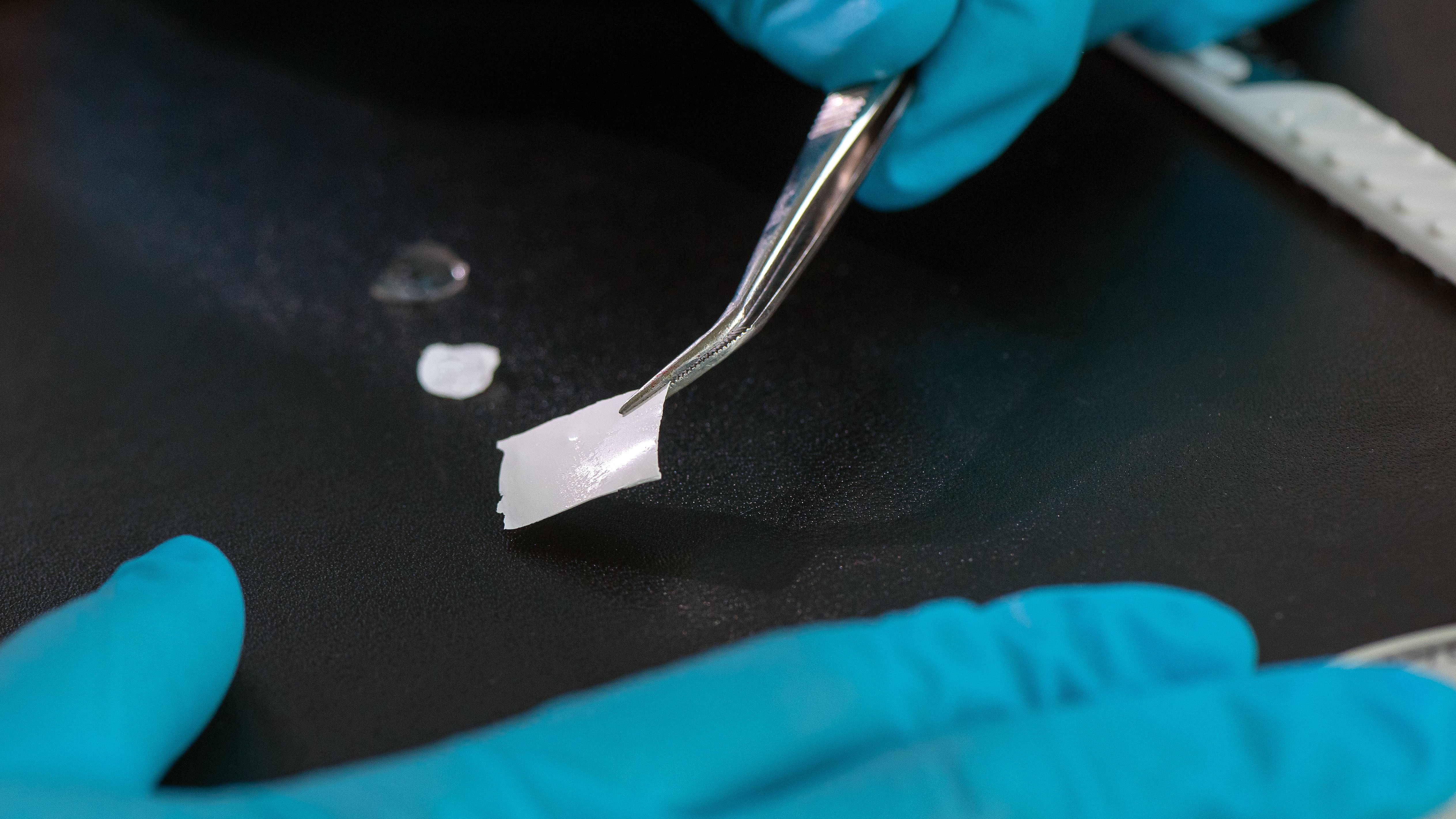 biomolecular film can be picked up with tweezers
