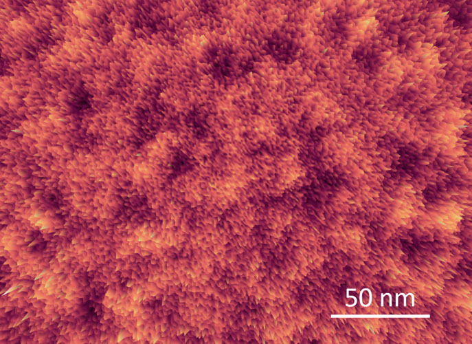 'fruitcake'structure in nanoscale image of a semiconducting polymer