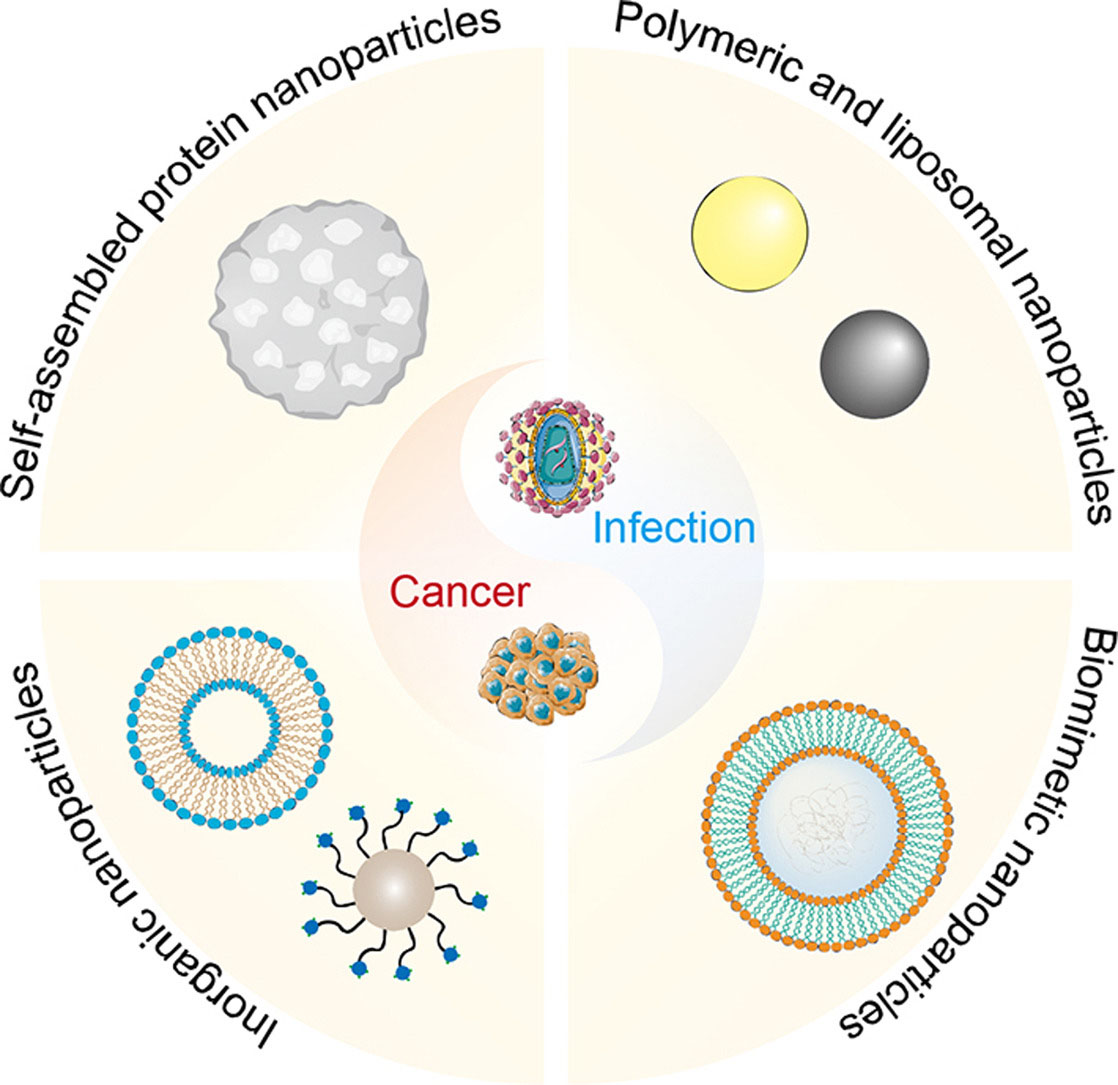 Emerging vaccine nanotechnology: From defense against infection to sniping cancer