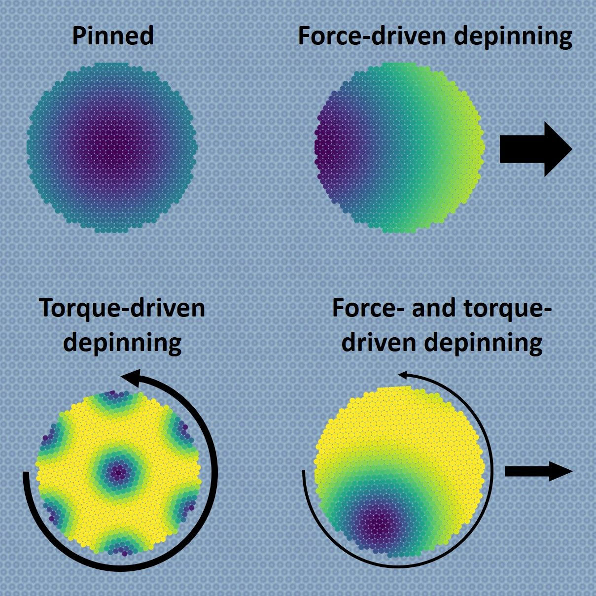 Schematic illustration of the moiré pattern evolution under the influences of external forces and torques for a circularly shaped colloidal cluster interacting with a periodically structured surface