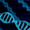 New technology helps reveal inner workings of human genome