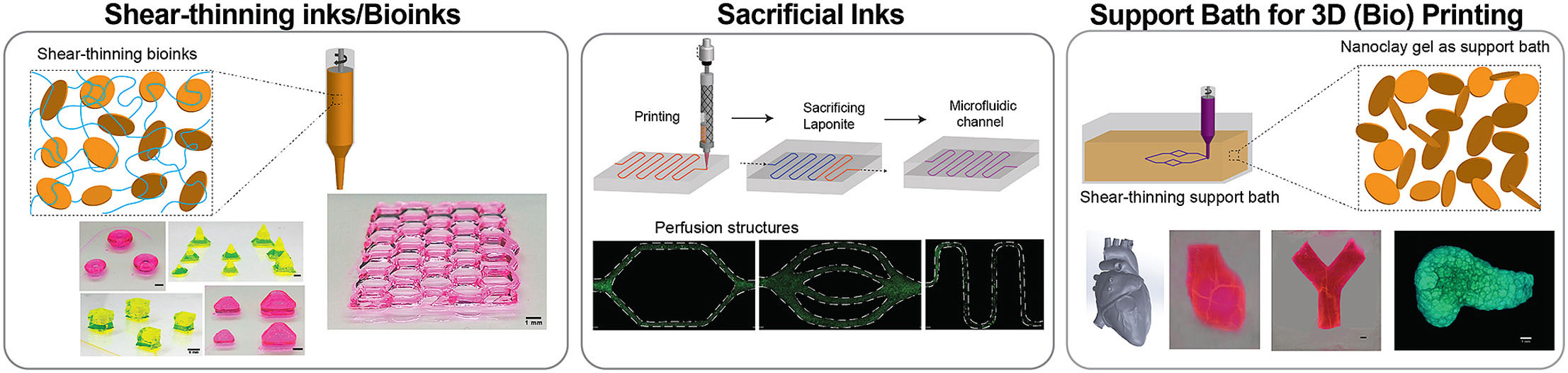 colloidal solutions of 2D nanosilicates as a platform technology to print complex structures via 3D bioprinting