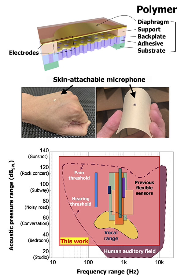 sound-sensing skin-attachable acoustic sensor