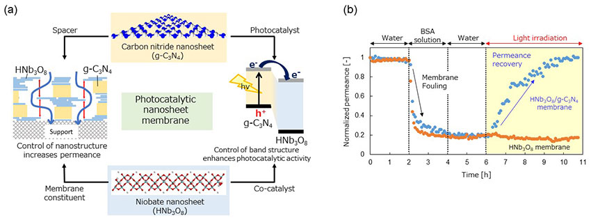 nanosheet-laminated photocatalytic membrane