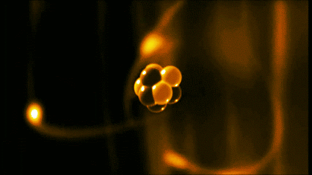 A gold atom has a dense center made of 79 protons and 118 neutrons, with a more-spread-out cloud of 79 electrons around it