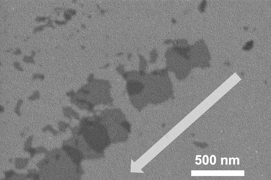 Particles of mechanically sheared flash boron nitride, as seen through a scanning electron microscope