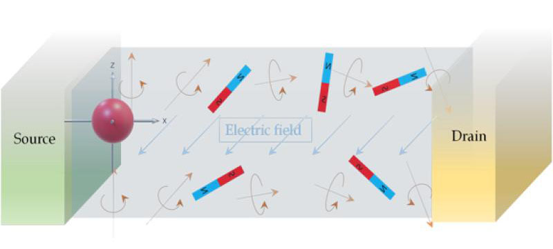 In a Rashba-Dresselhaus spin transistor, the spin of electrons could be disrupted by spin-phonon coupling or non-ideal internal magnetic field distribution