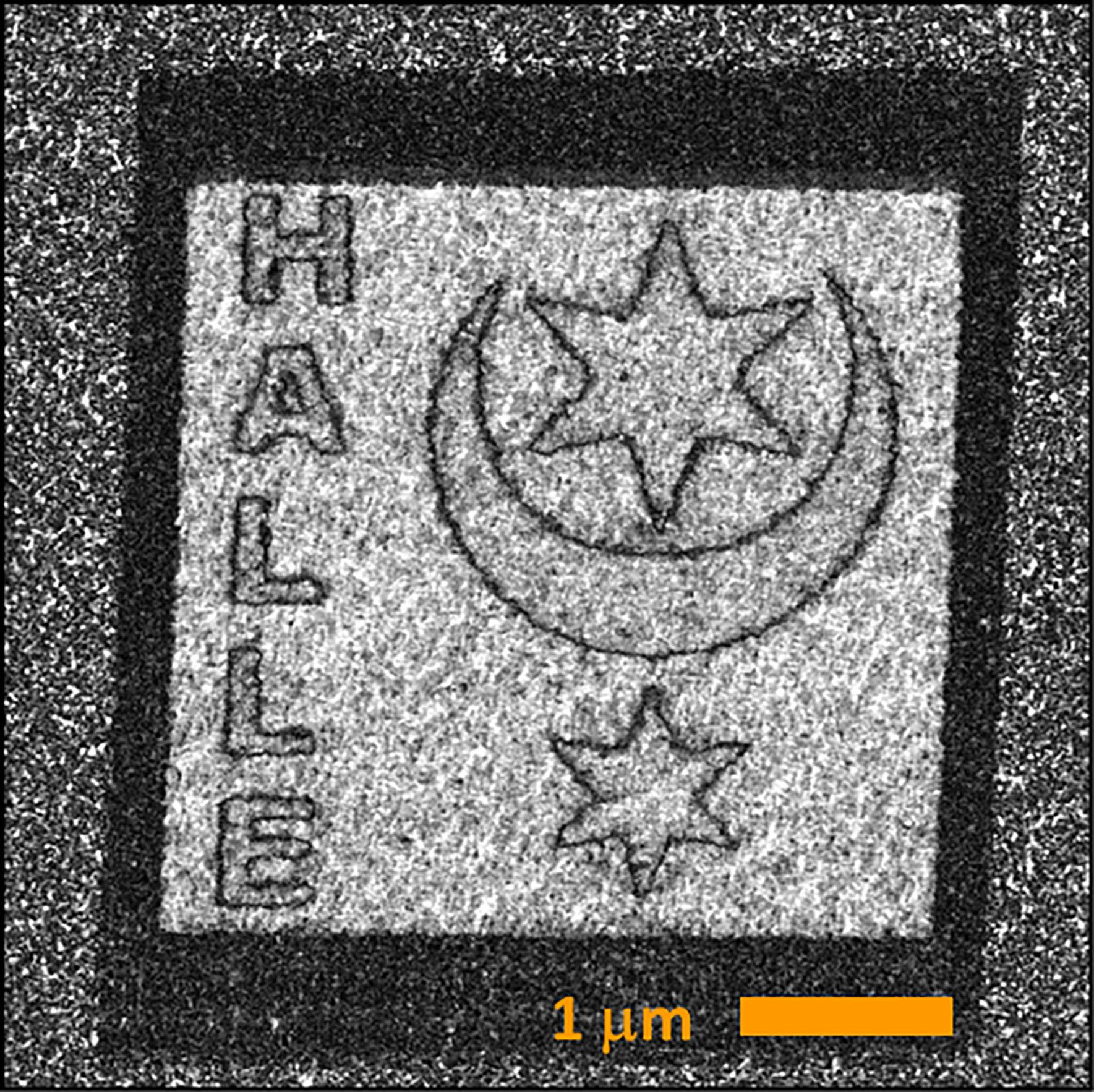 Ferroelectric PVDF-TrFE Film